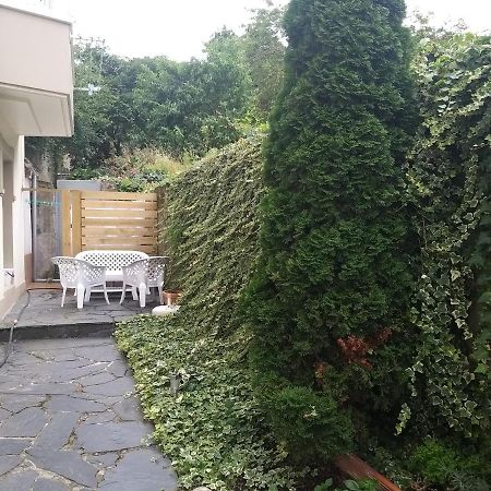 Apartamento Con Pequeno Jardin En El Centro Ферроль Екстер'єр фото